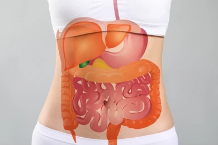 Gastroenterology--------15