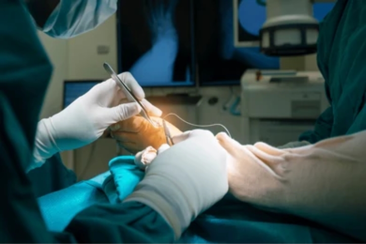 Orthopaedic Surgeries--------15